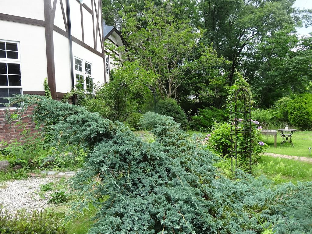 Gasthof Arutany Насу Екстериор снимка