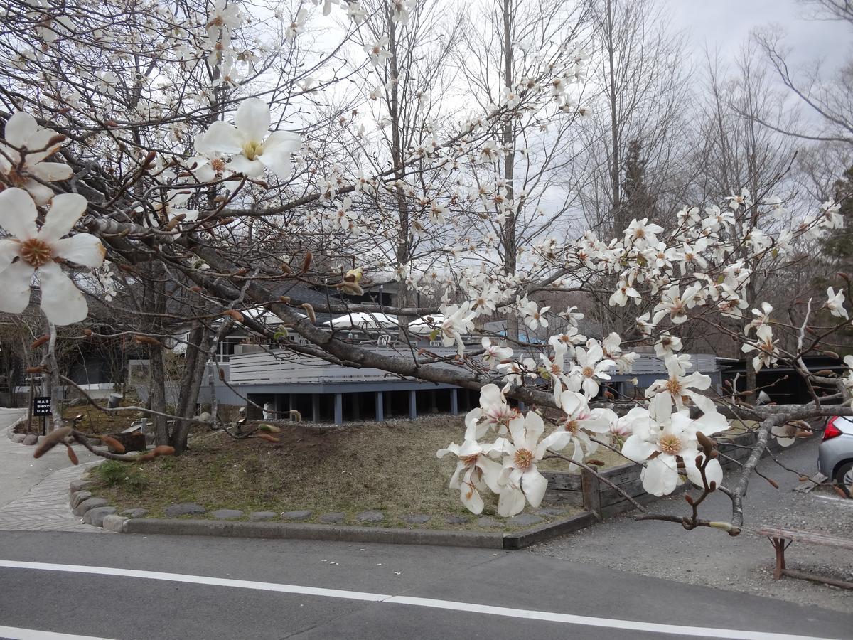 Gasthof Arutany Насу Екстериор снимка